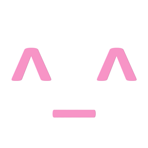 HAPPINESS RECORDER PINK