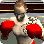 Boxing With Zombie 3D