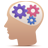 Test My Brain