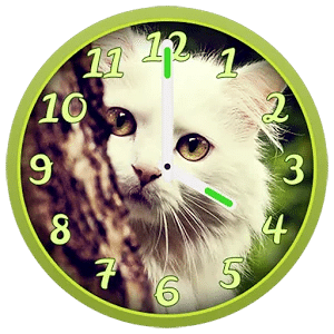 可爱的猫 时钟小工具