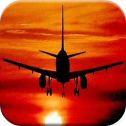 Flight Websites
