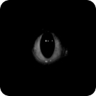 Dark Eye live wallpaper 