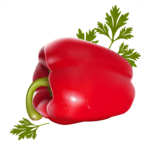 RasoiTime - Home of Indian Cuisine