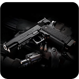Guns Fire