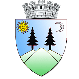 Falticeni.org