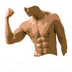 Body Fitness Guide