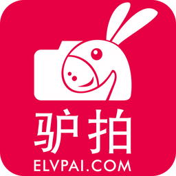 驴拍