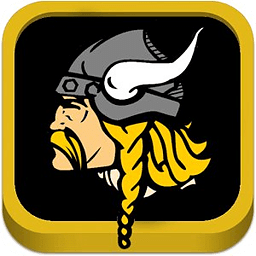 The Viking Vibe