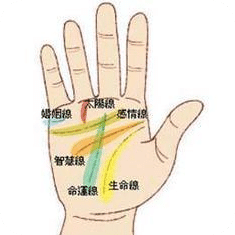 自动看手纹解密