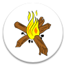 Log Analyst