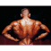 Exercises Great Back 1.01