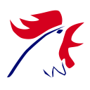 鸡网
