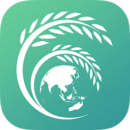 Rice Globe
