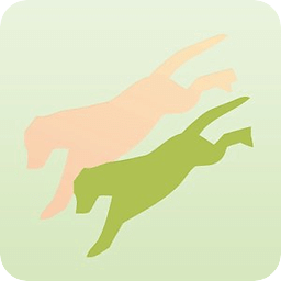 Dancing Dogs Power Yoga