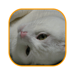 smart-eapp sample