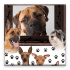 Dog Frames