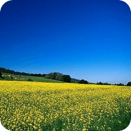 What am I doing here