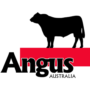 Angus