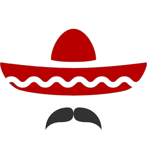 Spanish Flashcards (Sony SW2)