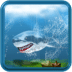 Shark Attack HD FREE