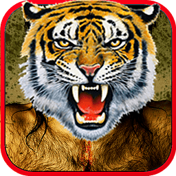 老虎和动物的相框