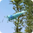 Blue shrimp live wallpaper