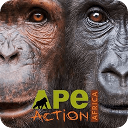 Ape Action Africa