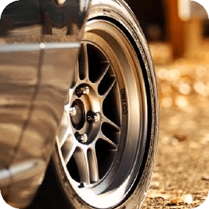 Speedometer Correction