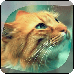 Cat Gallery