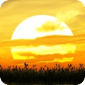 夕阳红HD唯美锁屏