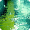 雨点动态壁纸