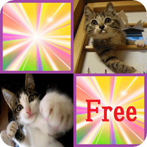 Cute Cat free(Concentration)