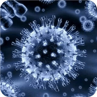 Immune Model