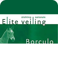 Elite Veiling Borculo