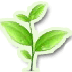 医药圣典