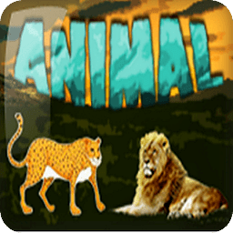 Animals Card