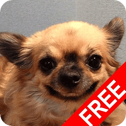 ちぃちゃん写真館free