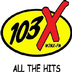 103X