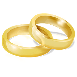 Irish Wedding Planner