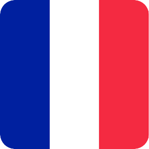 French English Translator free