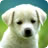 Puzzle Dogs 1