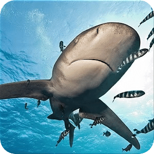 Ocean HD Wallpaper FREE