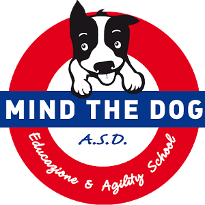 Mind the Dog