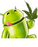 草药解决方案