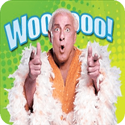 WWE: Ric Flair Woo!