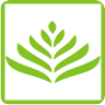 Organic India