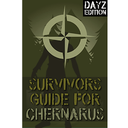 DayZ Map Survivor's Guide LT