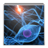 Iq scanner
