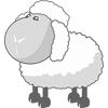 Sheep!