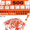 500强企业培训精粹